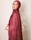 66a.webp