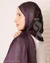 61a.webp
