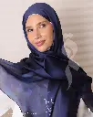 58a.webp