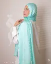 34a.webp