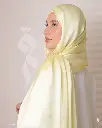 41a.webp