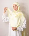 43a.webp