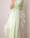 53a.webp