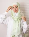 51a.webp