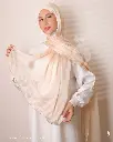 29a.webp
