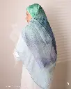 167a.webp