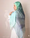168a.webp