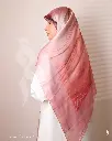 192a.webp