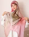 197a.webp