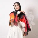 78_(1)[1].webp