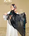 1001376703.webp