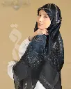 1001426102.webp
