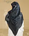 1001426098.webp
