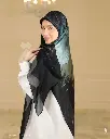 2n.webp