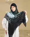 1n.webp